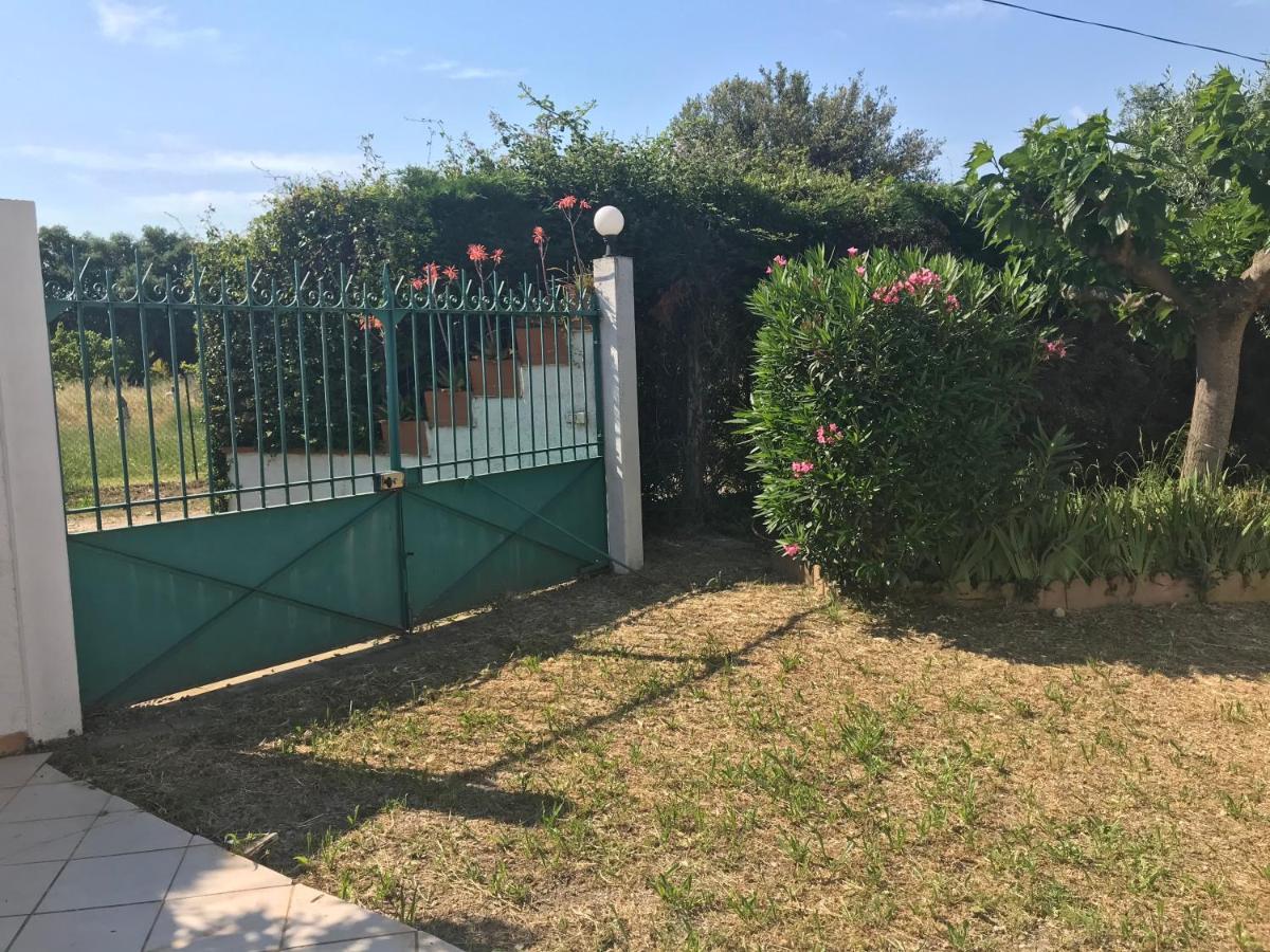 Mas De La Vieille Vigne Villa Argelès-sur-Mer Eksteriør billede